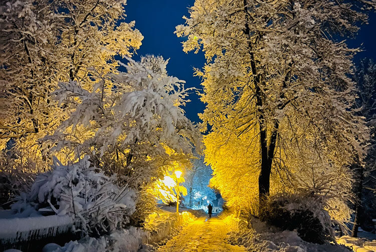 IMG_7698